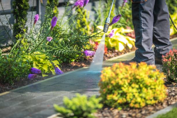 Troy, NY Pressure Washing Pros